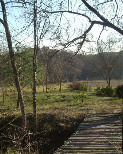 entorn natura Dojo Asai
